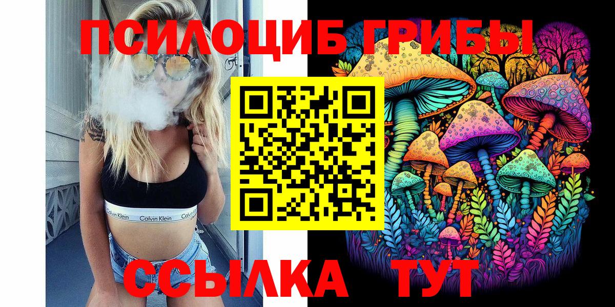 Галлюциногенные грибы Psilocybine cubensis  Вход с VPN  Галлюциногенные грибы прущие грибы  Киселёвск 